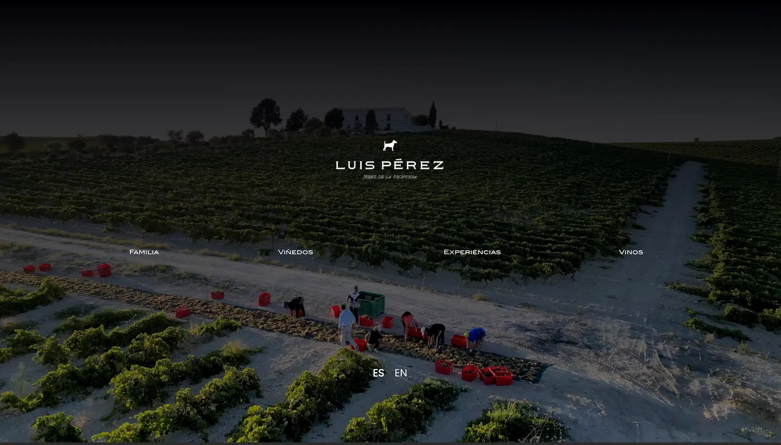 Bodegas Luis Pérez · web