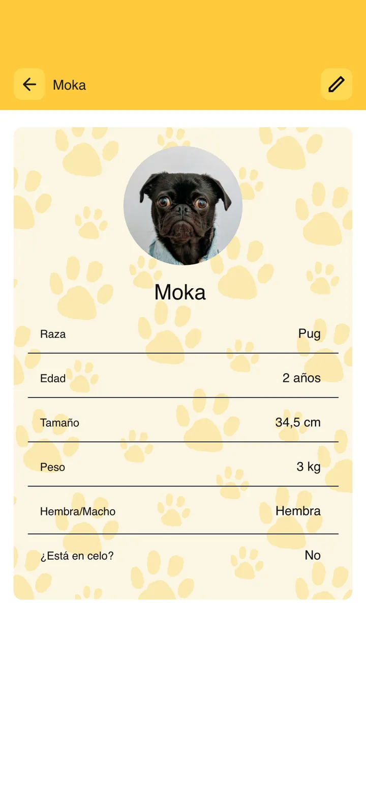 Guaumigo · Ficha de la mascota